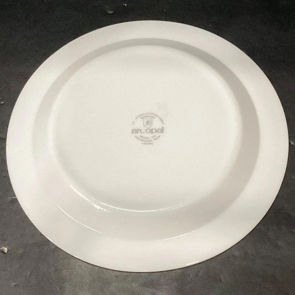 Arcopal France Pastoral Dinner Plate, Vintage Floral Dinnerware, White Tableware